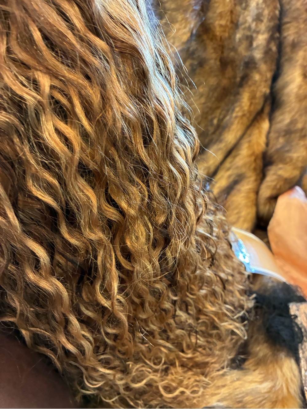 Water Wave Chestnut/Blonde Wig - NWT 18” invisible lace